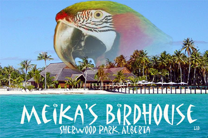Meika's Birdhouse 